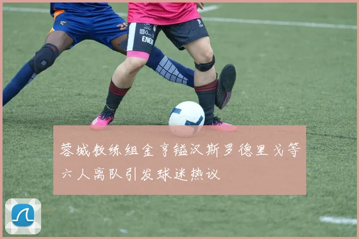 蓉城教练组金亨镒汉斯罗德里戈等六人离队引发球迷热议