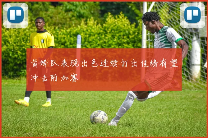 黄蜂队表现出色连续打出佳绩有望冲击附加赛