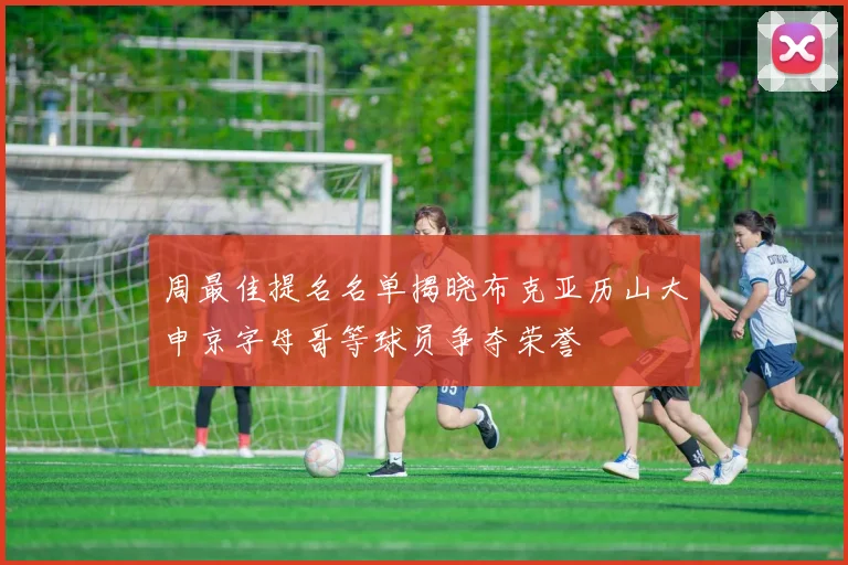 周最佳提名名单揭晓布克亚历山大申京字母哥等球员争夺荣誉