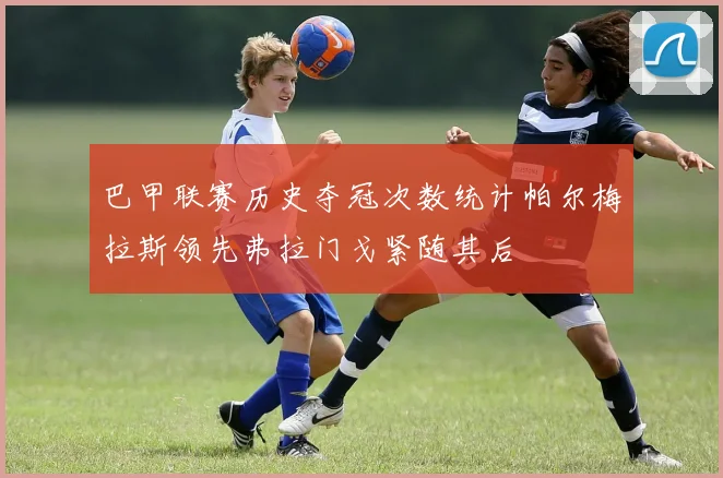 巴甲联赛历史夺冠次数统计帕尔梅拉斯领先弗拉门戈紧随其后