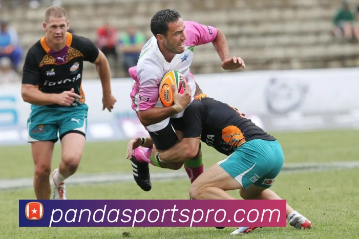 多媒体互动体验